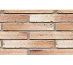 Кирпич клинкерный Muhr 37_06 K Serie mondan Kohle гладкий, 290х90х40 мм
