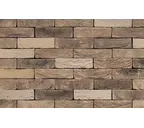 Кирпич S.Anselmo Custom blend RV, Selmo, 250х60х55 мм