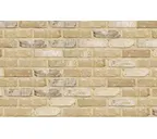 Кирпич облицовочный Terca Oud Damme, 215х102х65 мм