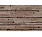 Кирпич S.Anselmo Corso Standart (Smooth) IRB, 500х50х40 мм