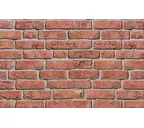 Кирпич облицовочный Roben Formback hellrot-bunt, 240х115х71 мм