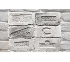Декоративный кирпич БАЛТФАСАД Старый кирпич клейма цвет 011, 255х130 мм