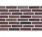 Плитка Randers Tegl Prima RT477, 215х65х20 мм
