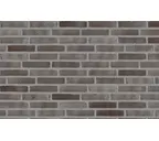 Кирпич облицовочный Randers Tegl Unika RT556, 228х108х54 мм