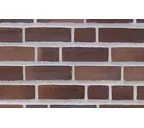 Кирпич облицовочный Randers Tegl Prima RT434, 215х50х65 мм