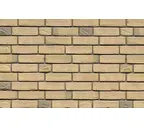 Кирпич облицовочный Muhr Nr 94, Autumn Gold, 215х102х65 мм