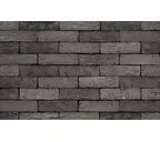 Кирпич S.Anselmo Custom blend DE, Selmo, 250х60х55 мм
