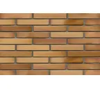 Кирпич клинкерный Muhr 06EG Hellbraun-bunt Edelglanz гладкий, 240х90х40 мм