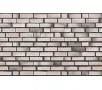 Плитка Randers Tegl Prima RT478, 215х65х20 мм