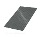 Профлист Металл Профиль МП10 0.5 PURETAN® RR 23 Темно-серый B