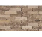 Кирпич S.Anselmo Custom blend LR, Selmo, 250х60х55 мм