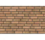 Кирпич облицовочный Randers Tegl Classica RT433, 250х120х65 мм