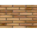 Кирпич клинкерный Muhr 06EG Hellbraun-bunt Edelglanz гладкий, 290х90х52 мм