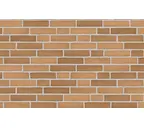 Плитка Randers Tegl Prima RT474, 228х54х35 мм