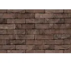 Кирпич S.Anselmo Superior Line Palanga, Selmo, 250х120х55 мм